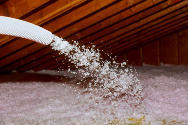 Best Energy-efficient Insulation  in Escondido, CA