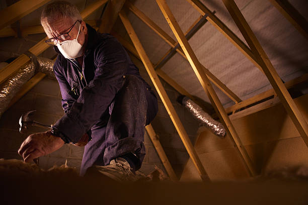 Best Local Insulation Services  in Escondido, CA